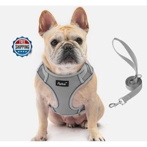 Harness and Leash Set for Small Cats & Dogs PUPTECK - Dark Gray #170